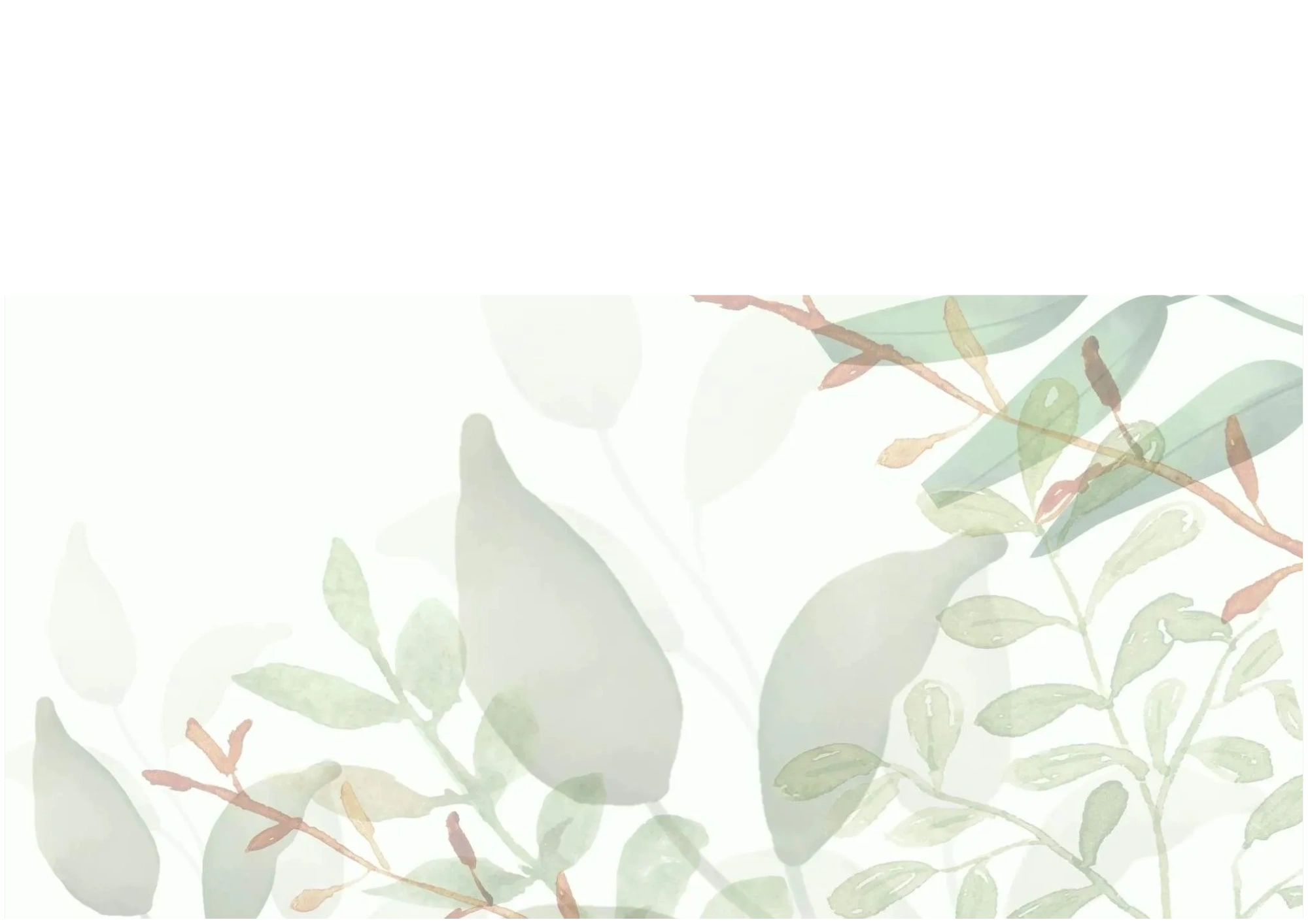 The Funeral Collective in Devonport, Tasmania