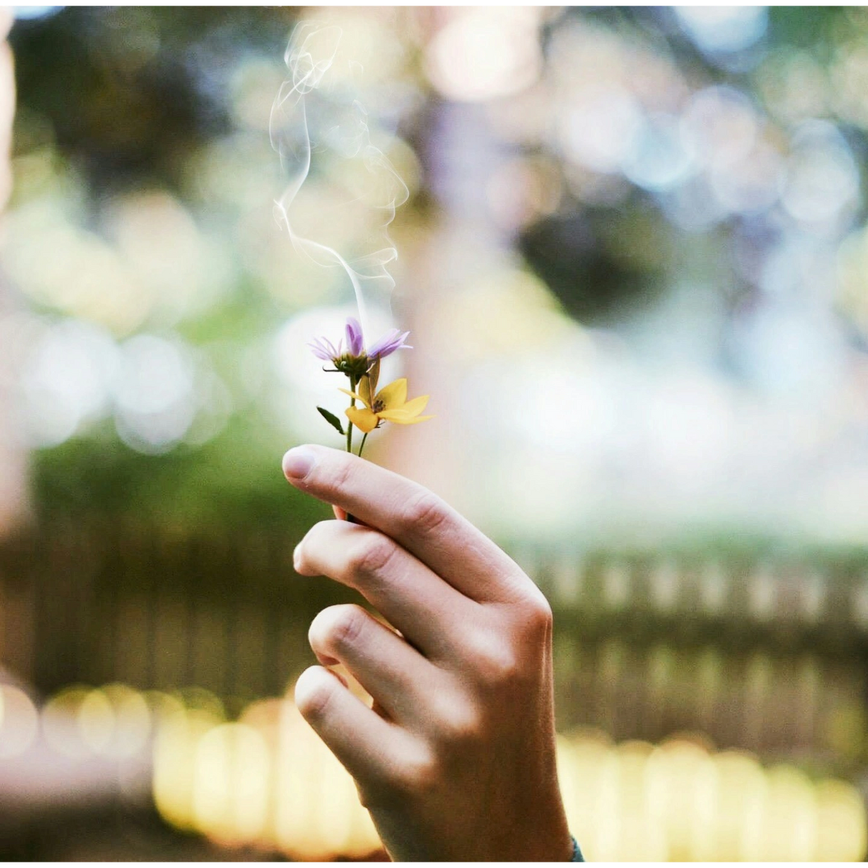 Planting Seeds no matter how small is the start of a beautiful garden -