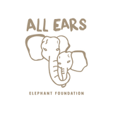 All Ears Elephant Foundation
