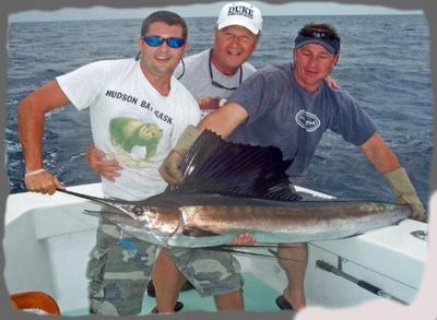 sailfish deep sea fishing nc