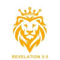 Lion of Judah Cleaning