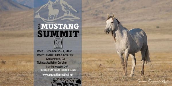 The Mustang Summit poster, 2022