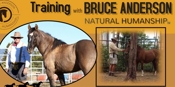 Bruce Anderson, Natural Humanship™