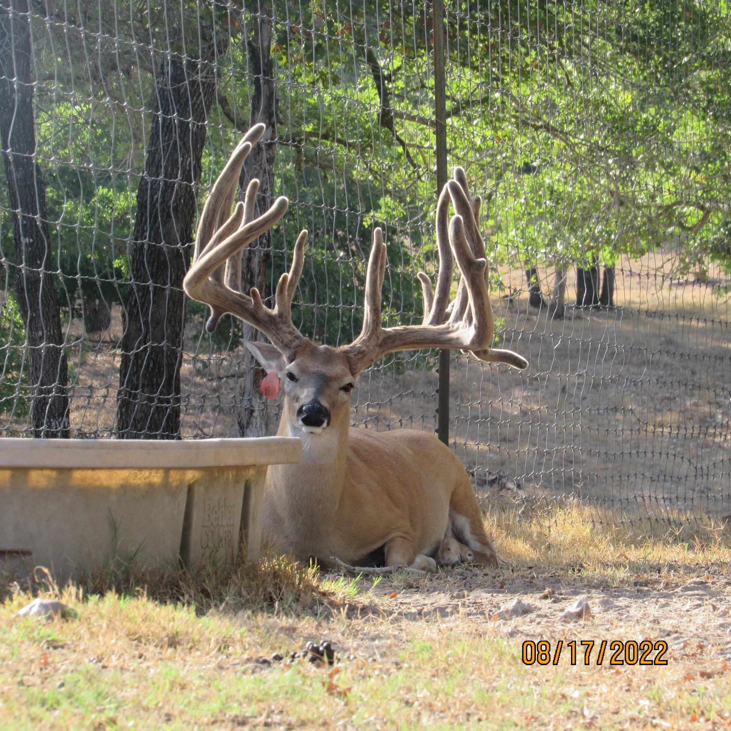 Pine Draw Ranch