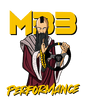 m33 performance