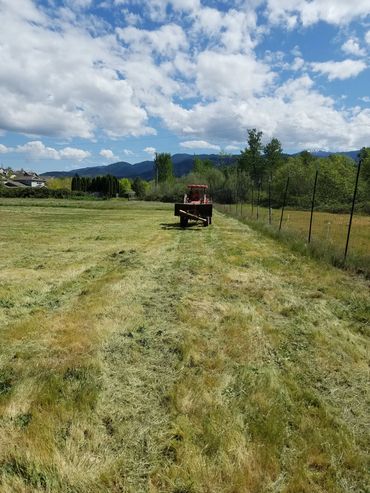 Plowing begins today as we prep the field for what will become VitalBerry Farm.