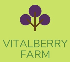 VitalBerry Farm