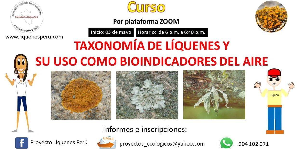 Curso en línea sobre taxonomía de líquenes y su uso como bioindicadores del aire.