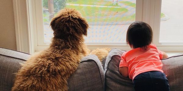 A dog and a child leaning on the back of a couch and looking out the window.