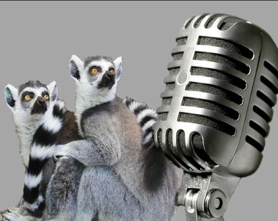 Podcast hosts - afraid of the microphone.