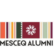 mes College of engineering Qatar Alumni