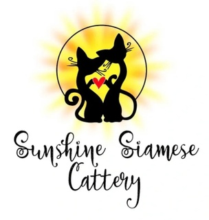 Sunshine Siamese Cattery