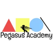 pegasus academy 4 codes