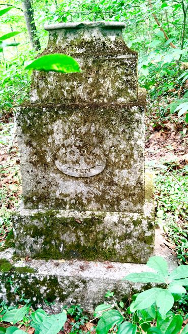 Moss-covered old gravestone in a forested area surrounded by greenery.