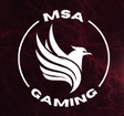 MSA Gaming