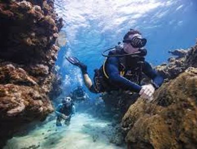scuba diving leader