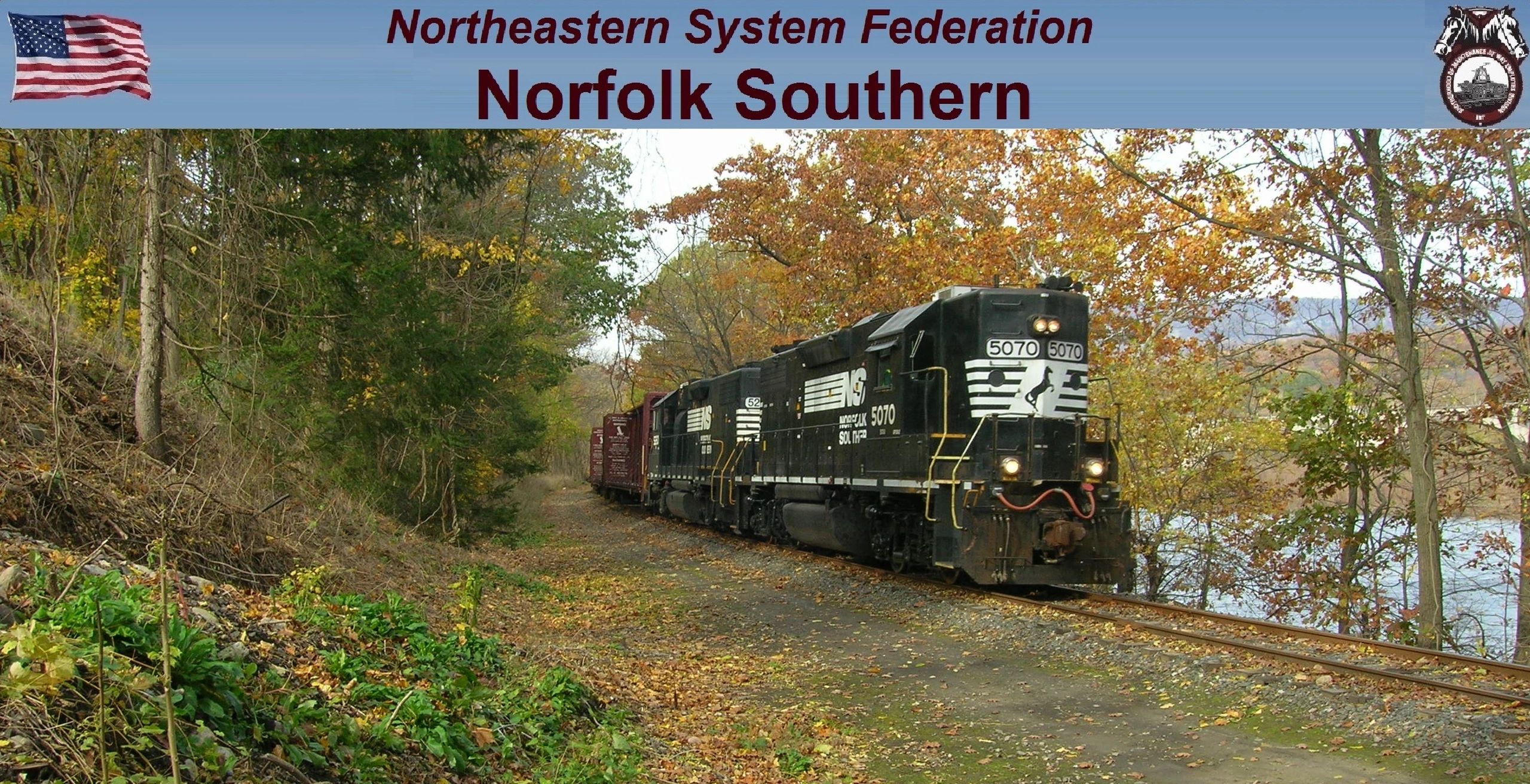 Ns