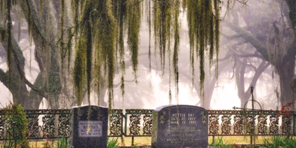 Misty cemetery with hanging moss and ornate iron fence.