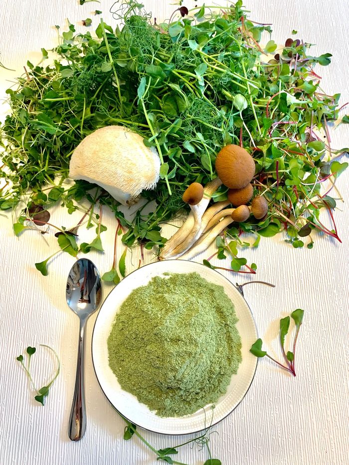 Mycogreens ingredients, Broccoli Radish and pea microgreens with Lion's Mane and Pioppino mushrooms