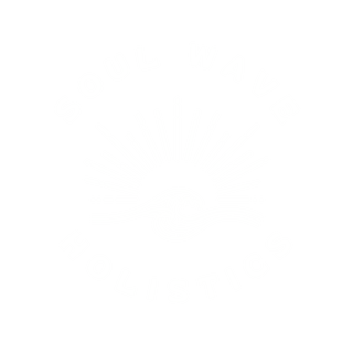 Soul Wave Holistics