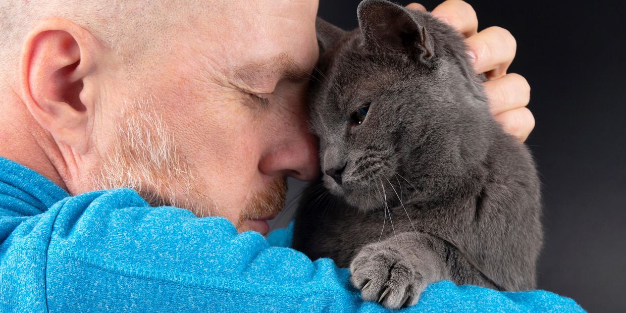 Man lovingly hugging a gray cat as part of the pet rehoming process.