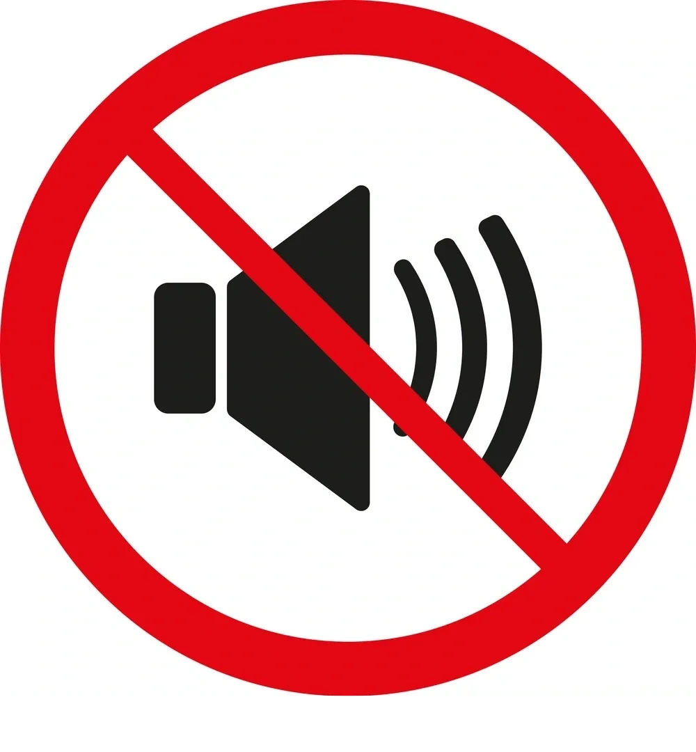 The Sound Of The Silent