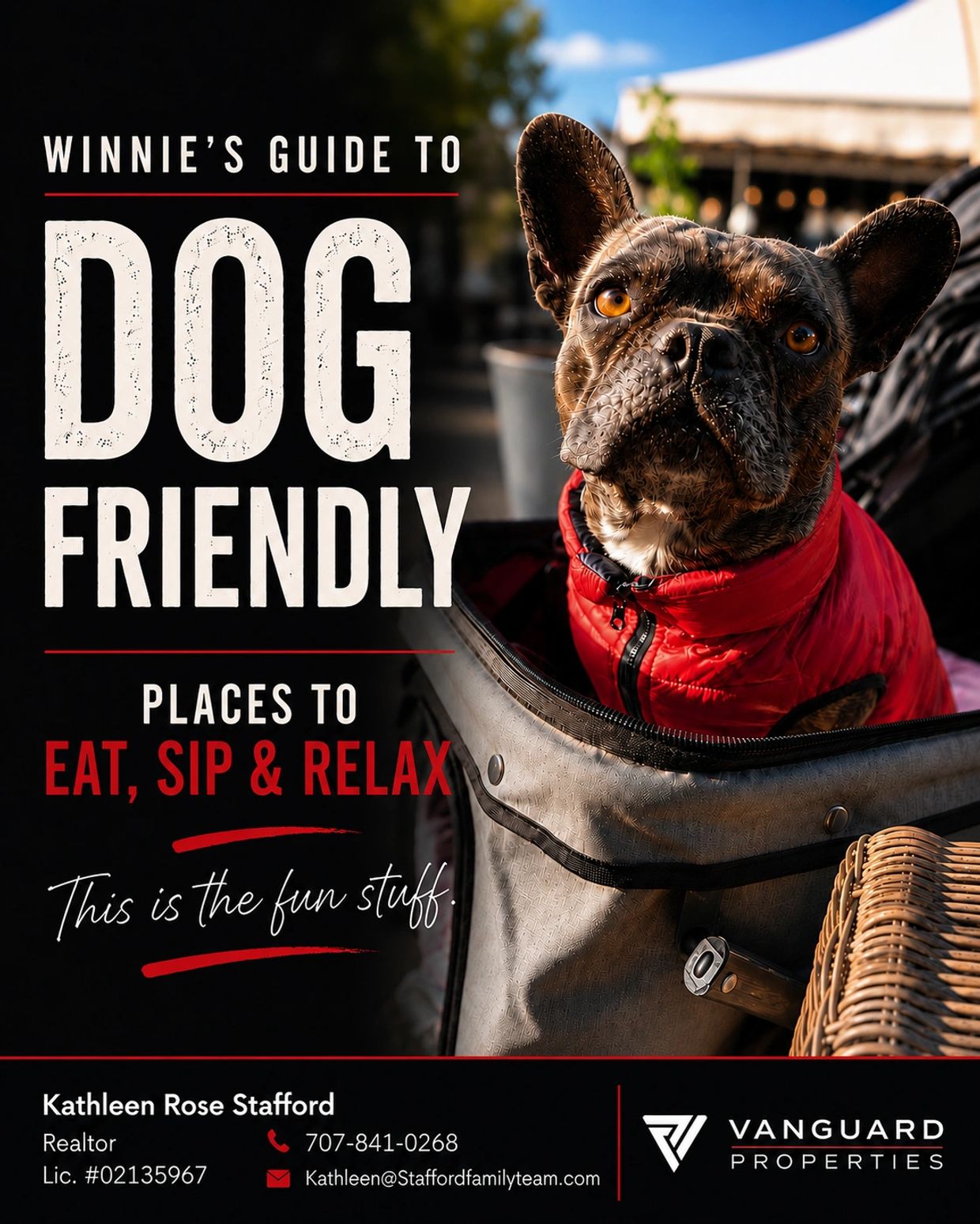 Image of Kathleen's French Bulldog Winnie and Winnie's Dog-Friendly Community Guides.