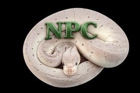 Needmore Python Creations