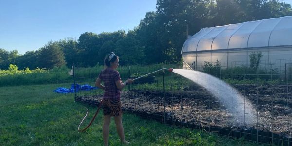 Child watering garden plants with hose near greenhouse.