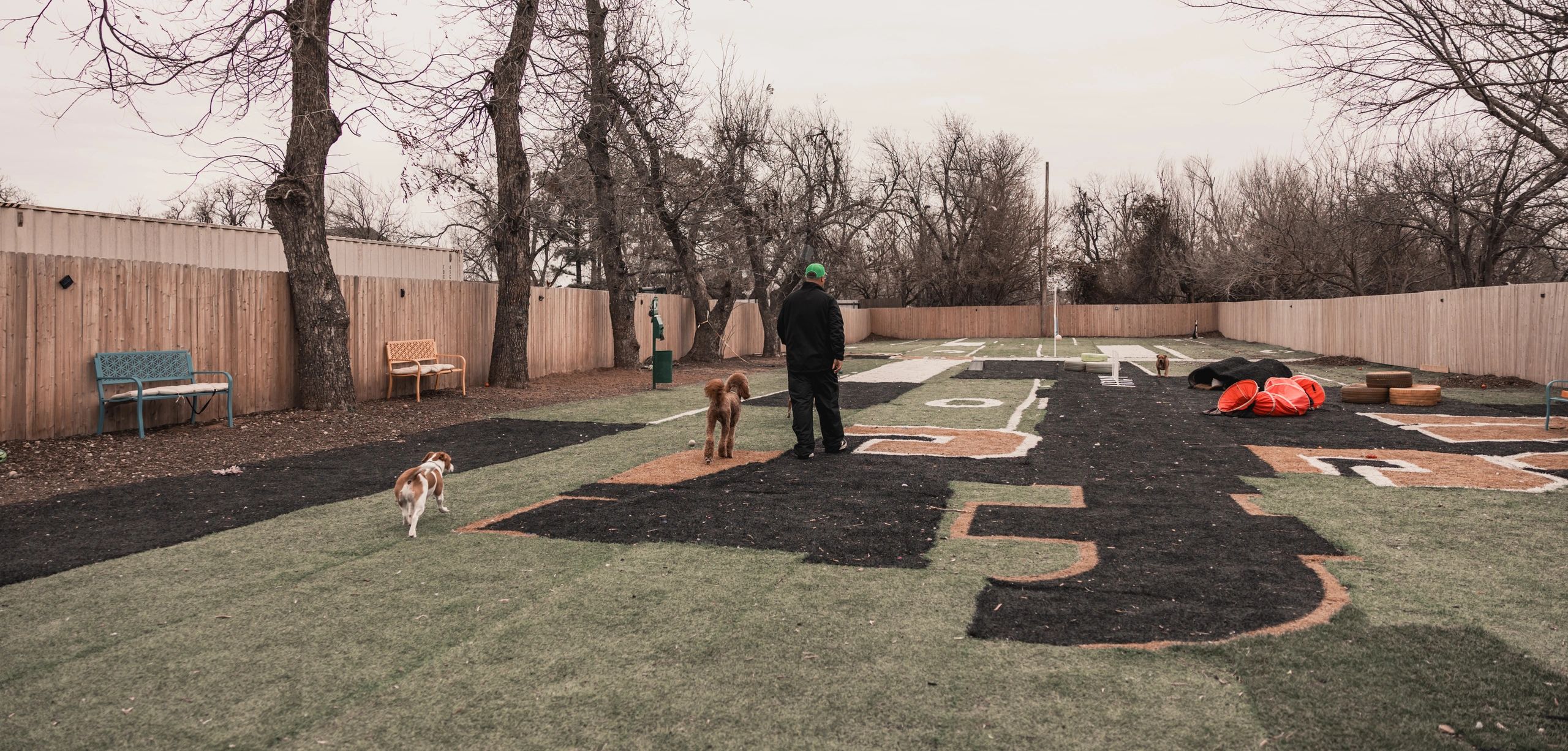 Tropical Tails Oklahoma Dog Daycare and Boarding - Pet Services in Oklahoma City