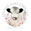 Ancient Oaks Farm