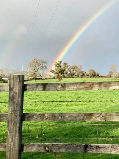 Dark sky with a double rainbow over a beautiful Devon field- picture taken by Rebecca