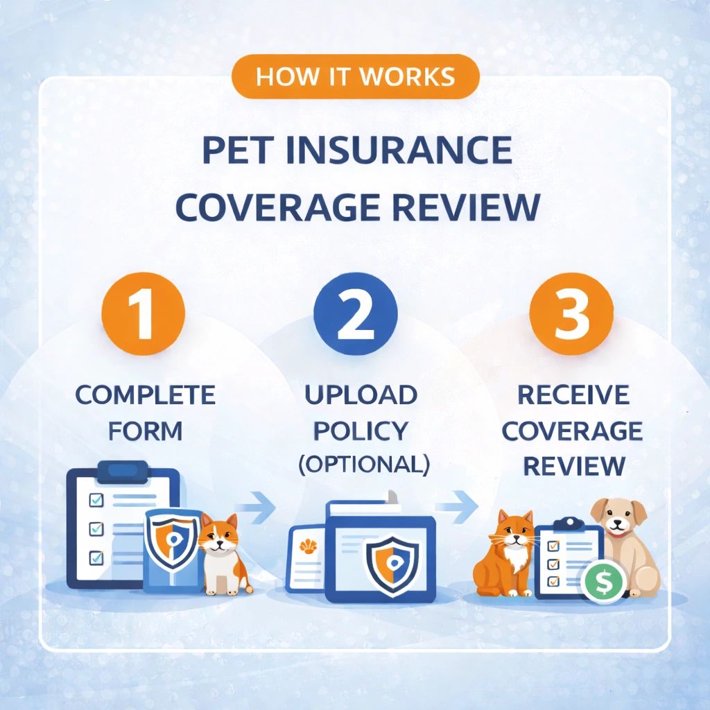 Three-step pet insurance coverage review process with form, policy upload, and review.
