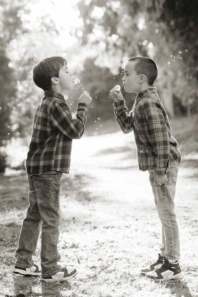 family portraits, moorpark california, children photography, moorpark photos, moorpark family photos