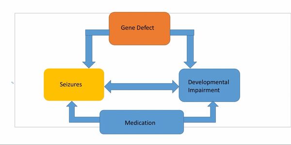 Flowchart linking gene defect, seizures, developmental impairment, and medication.