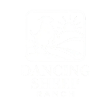 Logo of Dancing Sheep Ranch with a sheep and sunrise.
