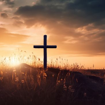 Beautiful silhouette of cross on a flower field with sun setting behind.