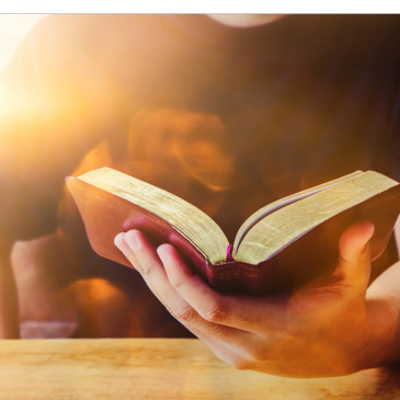 Person holding Bible in hand.