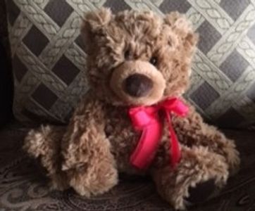 RAPHA BEAR