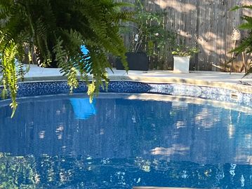 Outdoor swimming pool with hanging fern plants.