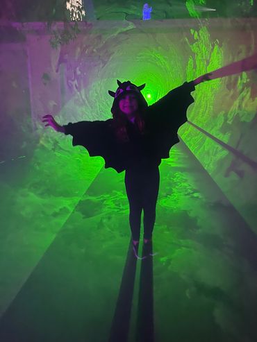 A bat in the vortex tunnel