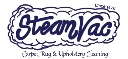 Steam Vac Cleaners