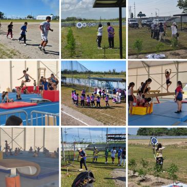 Children engaging in various outdoor and indoor sports activities during a sunny day.