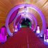 Wedding Tunnel Decorators in Pune