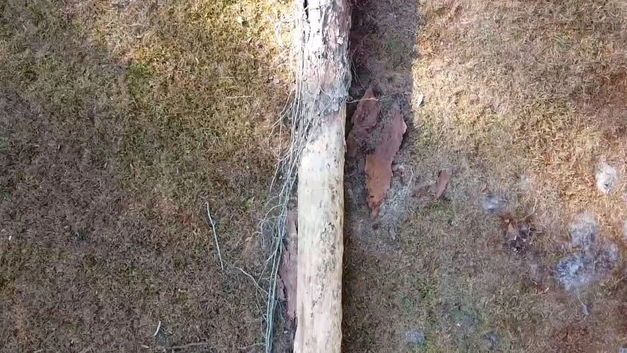 https://img1.wsimg.com/isteam/ip/8255768f-c329-4617-bb9b-84abc931c5b9/thumbnails/thumbnail-2912d1a5-ae03-4d9b-a7a6-1800d5e0937d.png