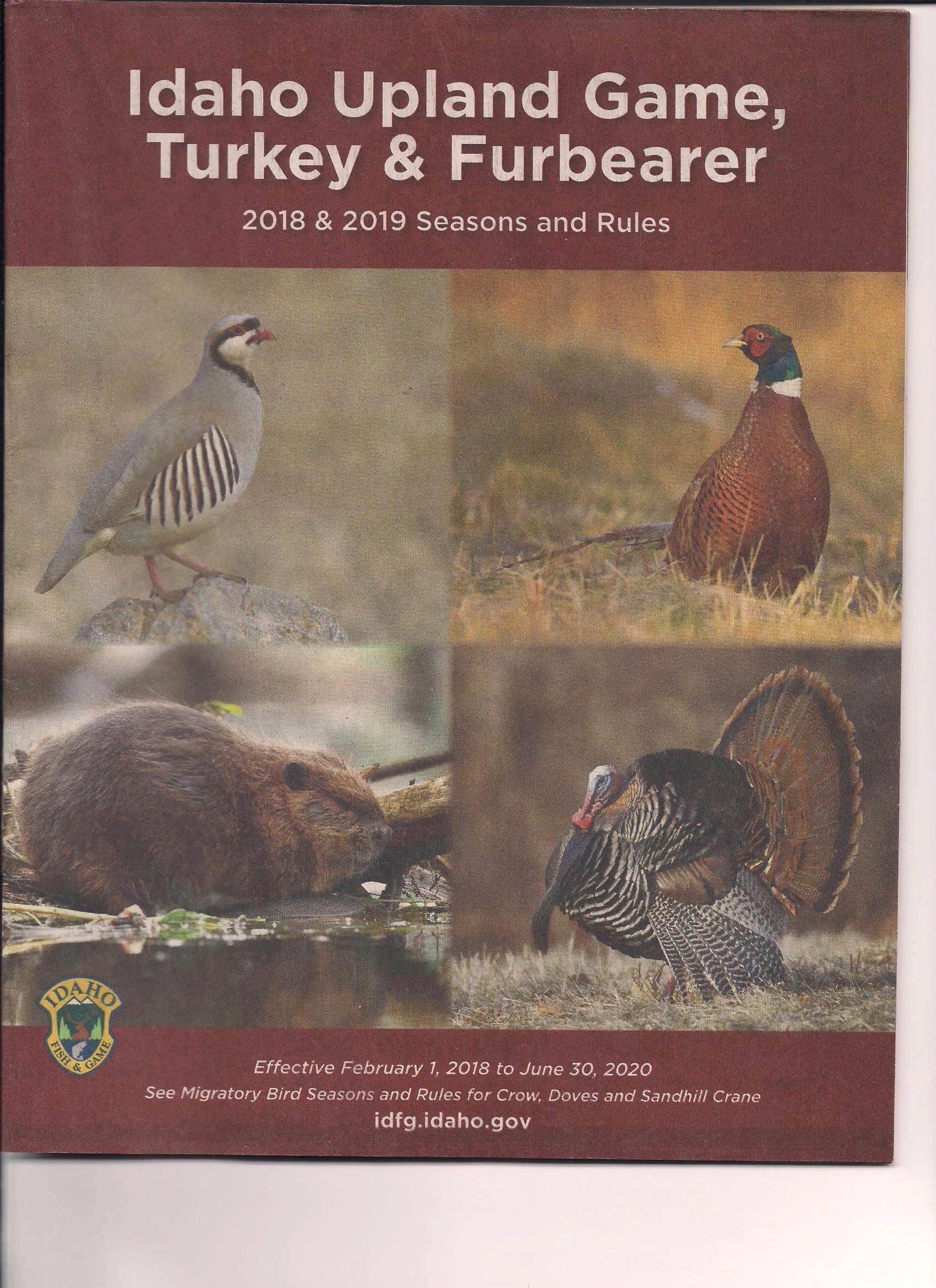 The Biggest Disadvantage Of Using Обзор игр в казино BC Game