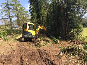 Tree removal with digger