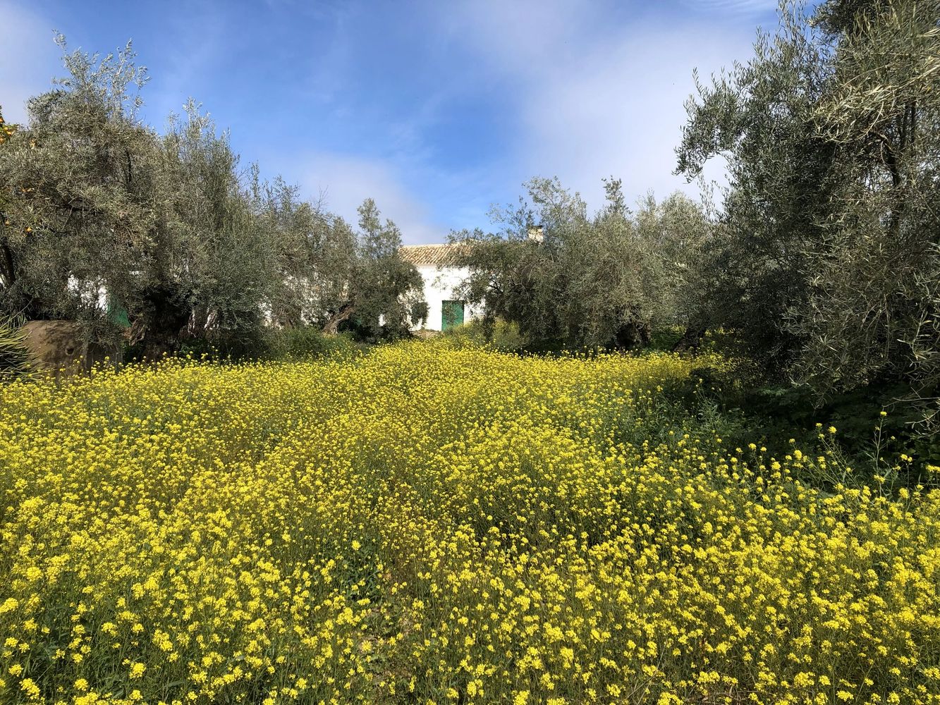 Stack of books next to pencils in a holder and a camera.