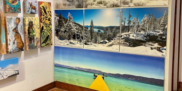 Large format metal printing of photography on the art gallery wall