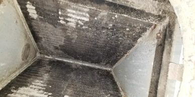 Picture of a contaminated evaporator coil